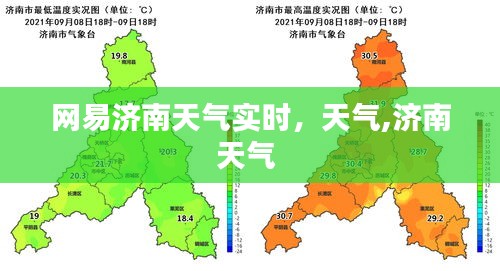 笔走龙蛇
