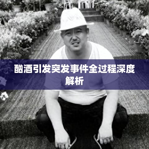 酗酒引发突发事件全过程深度解析