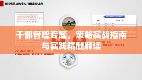 干部管理专题，策略实战指南与实践精髓解读