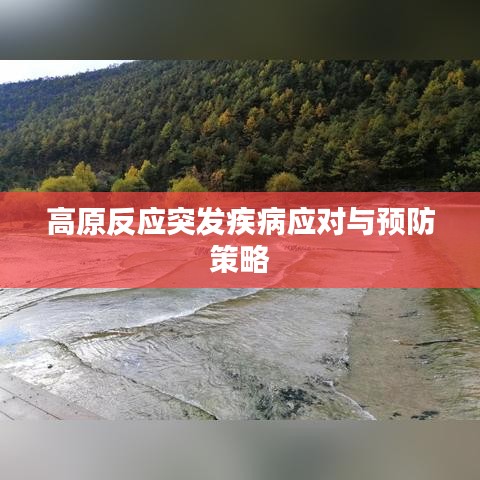 高原反应突发疾病应对与预防策略