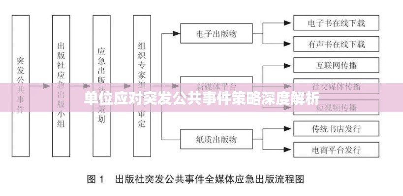 单位应对突发公共事件策略深度解析