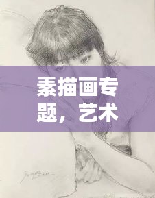 素描画专题，艺术领域的独特魅力探索