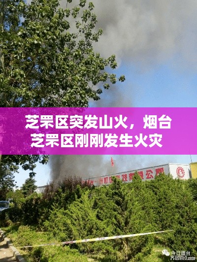 芝罘区突发山火，烟台芝罘区刚刚发生火灾 