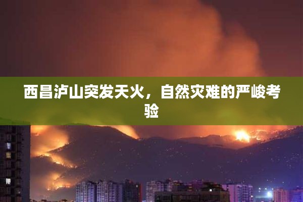 尖嘴猴腮 第2页