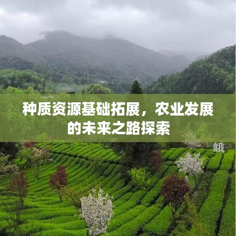种质资源基础拓展，农业发展的未来之路探索