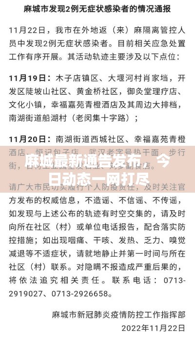 麻城最新通告发布，今日动态一网打尽