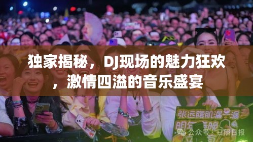 独家揭秘，DJ现场的魅力狂欢，激情四溢的音乐盛宴