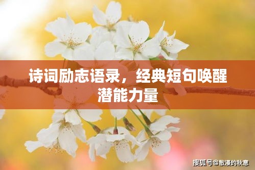 诗词励志语录，经典短句唤醒潜能力量