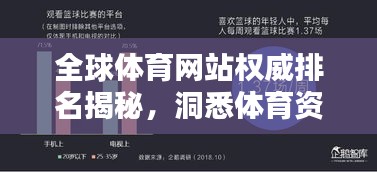 全球体育网站权威排名揭秘，洞悉体育资讯的不二渠道！