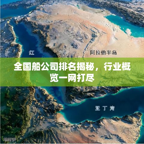 全国船公司排名揭秘，行业概览一网打尽