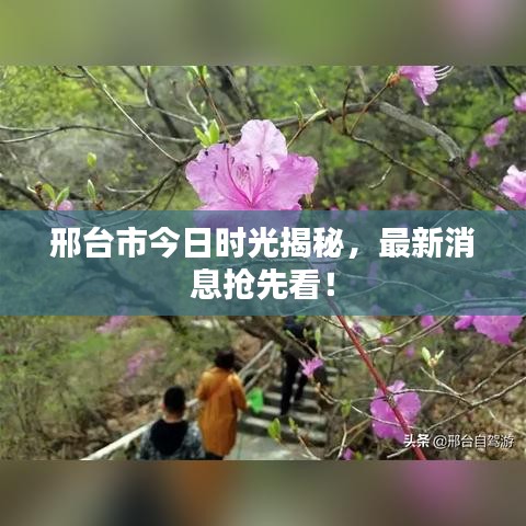 邢台市今日时光揭秘，最新消息抢先看！