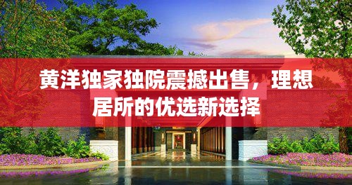 黄洋独家独院震撼出售，理想居所的优选新选择