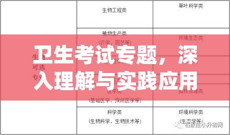 卫生考试专题，深入理解与实践应用全解析