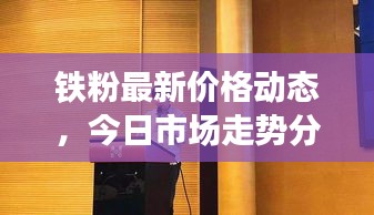 铁粉最新价格动态，今日市场走势分析与影响因素揭秘