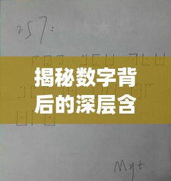 揭秘数字背后的深层含义，不断等于多少？
