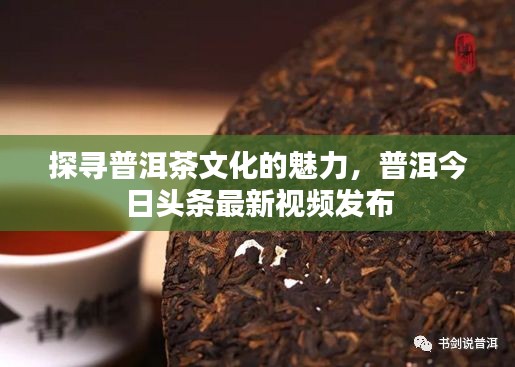 探寻普洱茶文化的魅力，普洱今日头条最新视频发布
