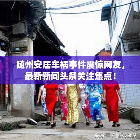 随州安居车祸事件震惊网友，最新新闻头条关注焦点！