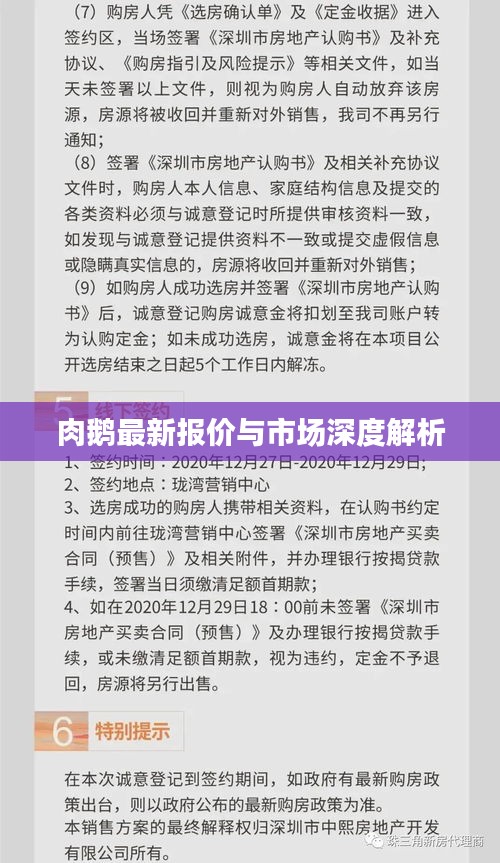 肉鹅最新报价与市场深度解析