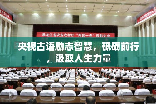 央视古语励志智慧，砥砺前行，汲取人生力量
