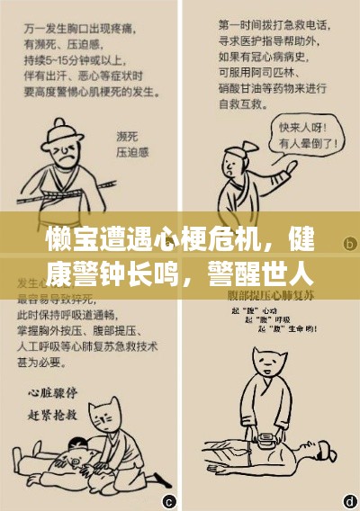 懒宝遭遇心梗危机，健康警钟长鸣，警醒世人！
