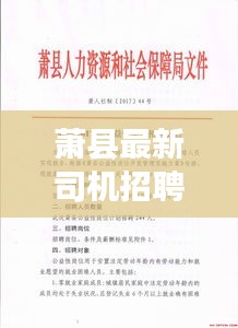 萧县最新司机招聘信息今日发布