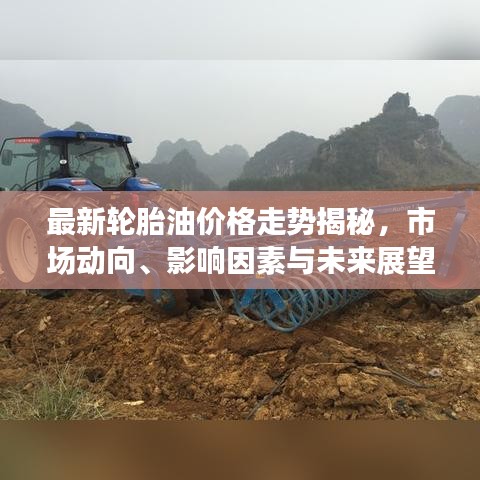 最新轮胎油价格走势揭秘，市场动向、影响因素与未来展望