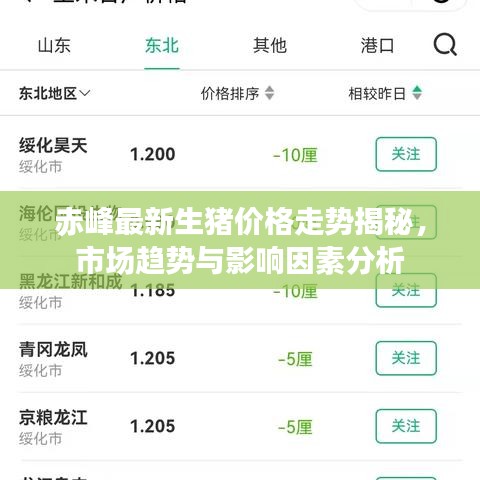 赤峰最新生猪价格走势揭秘，市场趋势与影响因素分析