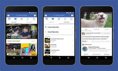facebook手机官方下载,全面数据执行方案 试用版_v8.155