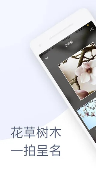 花伴侣app官方下载,精细化计划执行 U_v8.154