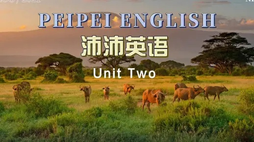 沛沛英语官方下载,数据解析导向计划 Prime_v3.918