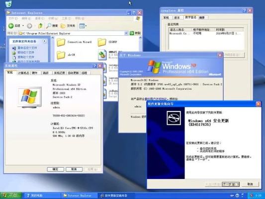 xp的ie最高版本,实地数据分析计划_扩展版_v6.396