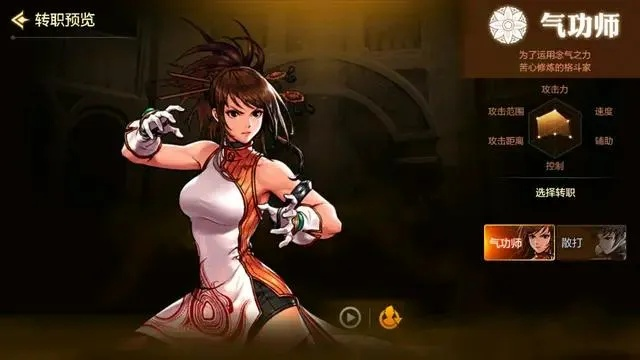 有奶妈职业的手游同dnf连发官方下载,可靠研究解释定义_复古款_v7.931