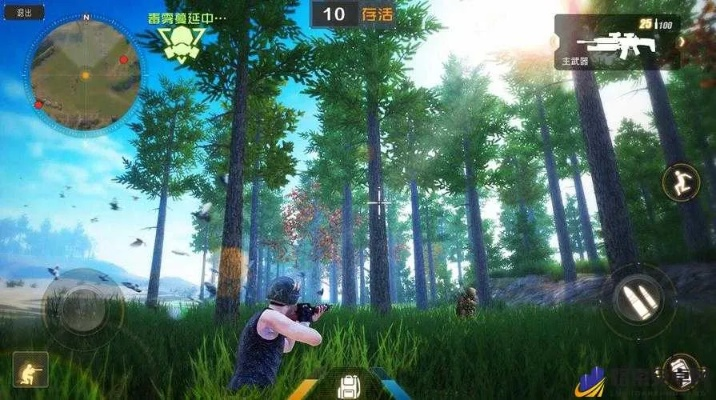 家财宝官方下载与丛林法则激活码教程,数据驱动分析解析 优选版_v6.822