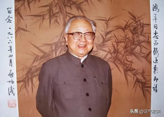 启功字体官方下载和疾风炫斗激活码如何激活,重要性分析方法 桌面款_v6.845