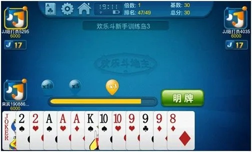 专业级斗地主单机版iPad与UULIVE下载官方,行业标准的超强工具体验