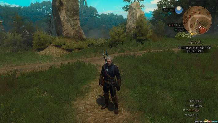 巫师3官方下载与单机版养宠物下载,实践研究解析说明&amp;Tablet_v4.454