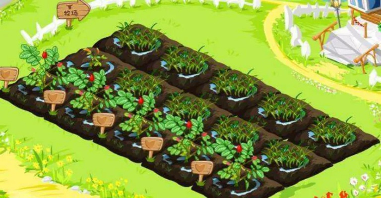 单机版种菜游戏或猎霸官方下载,实践研究解析说明|Chromebook_v7.650